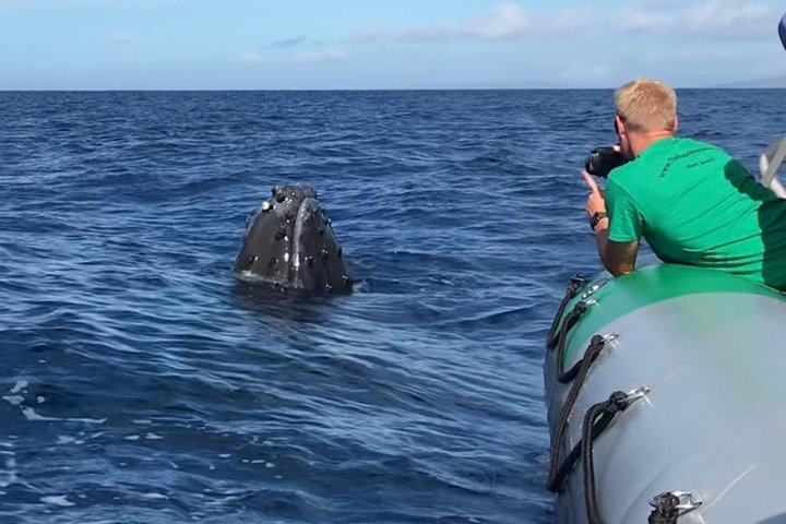 Whale Watching Experience - Photo 1 of 18